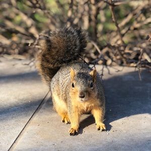 Meet your Posher, Emilia